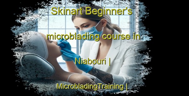 Skinart Beginner's microblading course in Niabouri | MicrobladingTraining | MicrobladingClasses | SkinartTraining-Burkina Faso
